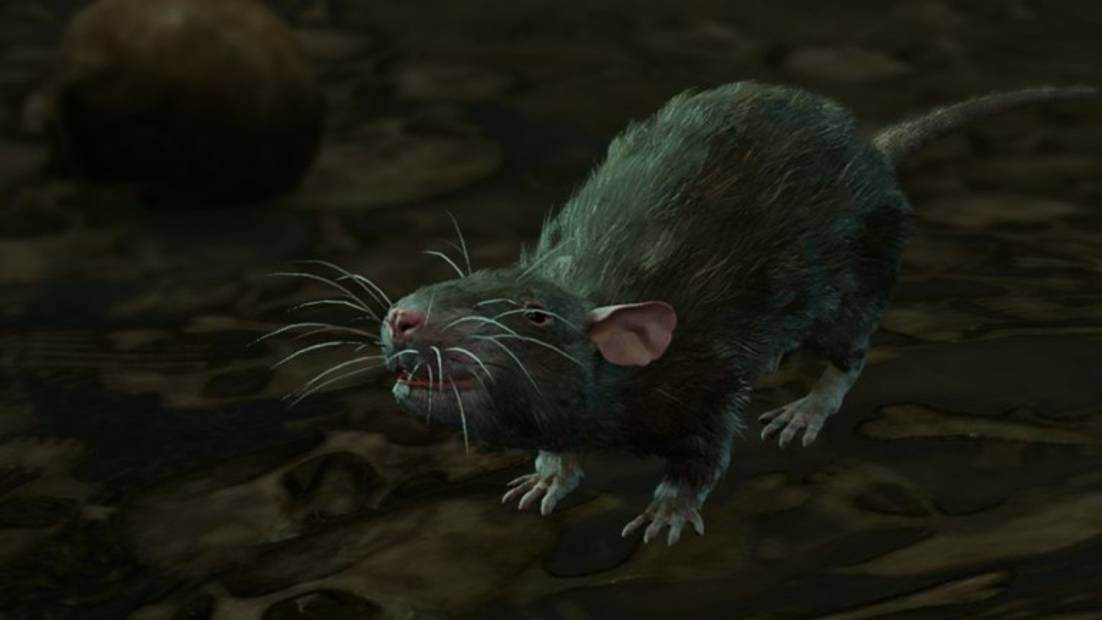 rat treasure bg3 shar